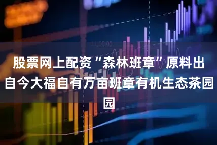 股票网上配资“森林班章”原料出自今大福自有万亩班章有机生态茶园