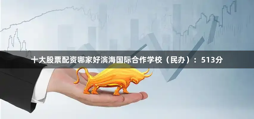 十大股票配资哪家好滨海国际合作学校（民办）：513分