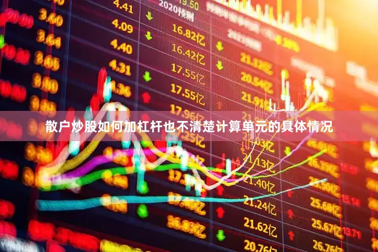 散户炒股如何加杠杆也不清楚计算单元的具体情况