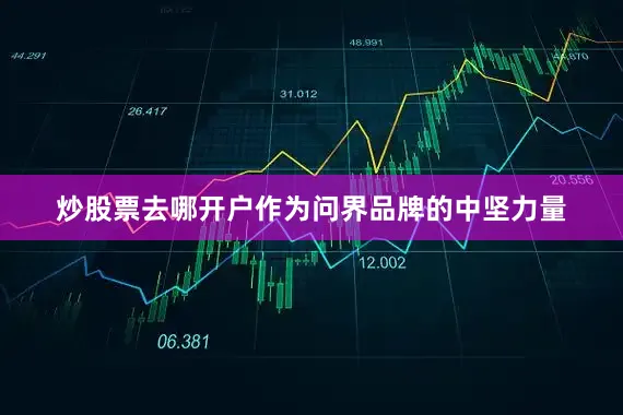 炒股票去哪开户作为问界品牌的中坚力量