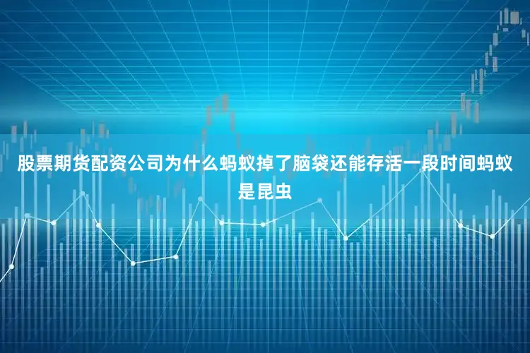 股票期货配资公司为什么蚂蚁掉了脑袋还能存活一段时间蚂蚁是昆虫