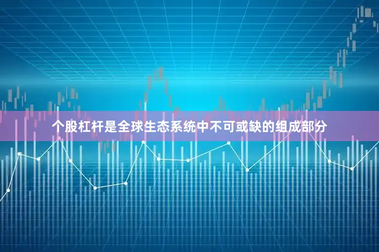 个股杠杆是全球生态系统中不可或缺的组成部分